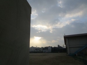 070313 暖かい朝 (2)