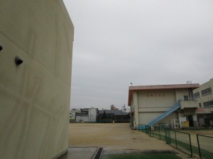 070311 春の雨 (2)