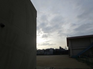070312 鳩 (2)